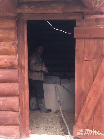 Строительство