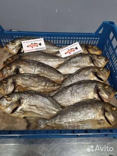 Хребты Форели холодного копчения