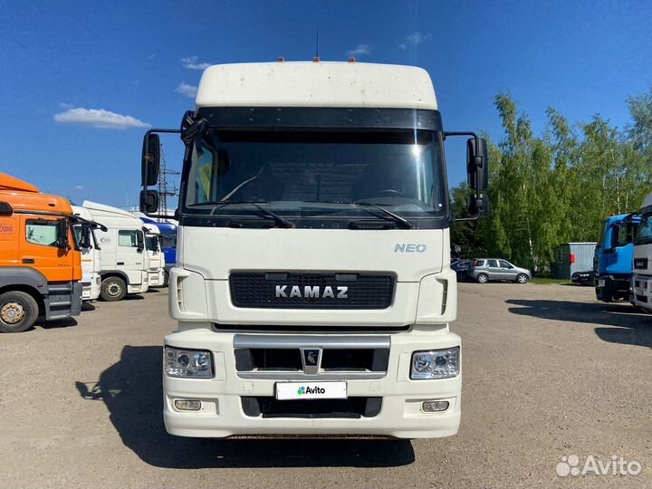 КамАЗ 5490 NEO, 2017