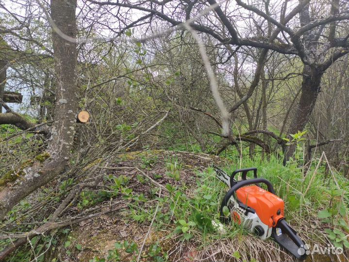 Покос травы триммером. Расчистка участка