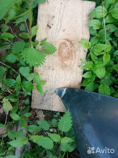 Капот audi 80 b4