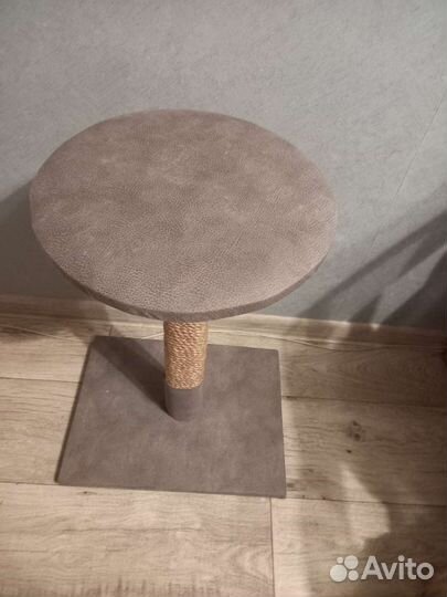 Когтеточка