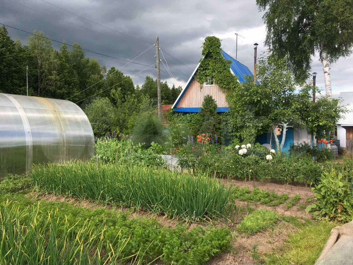 Дача 24 м² на участке 5 сот.