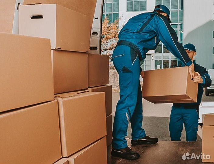 Грузчик ежедневные выплаты