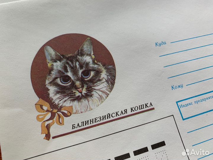 Почтовые конверты СССР кошка