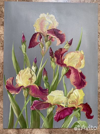 Картина маслом. Крымские ирисы