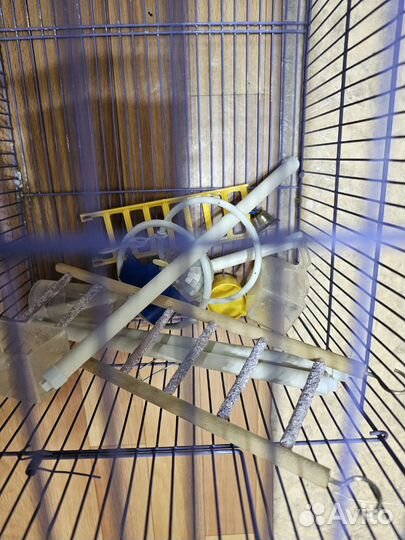 Клетка для животных