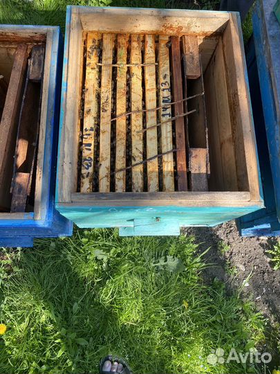 Пчелы и улья