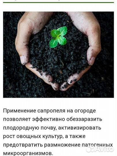 Сапропель озерный удобрение