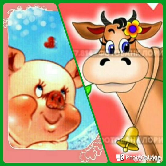 Осеменение свиней/осеменение крс