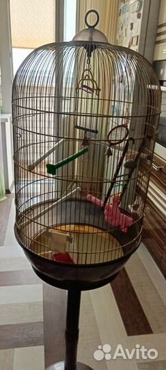 Клетка для попугая