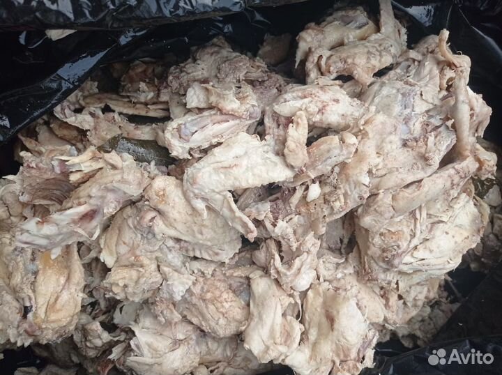 Корм еда животным - курица, говядина, рыба