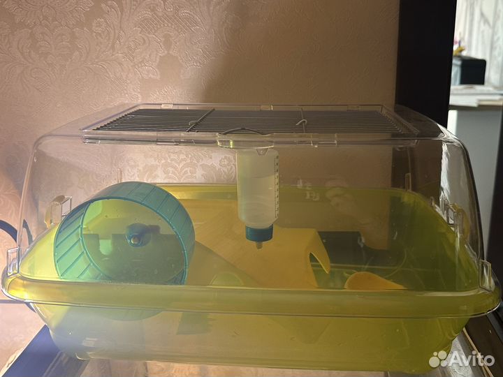 Клетка дюна