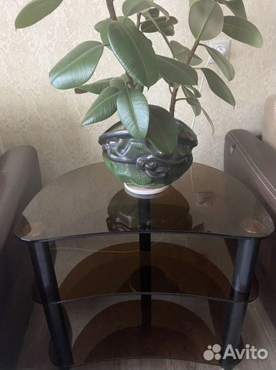 Тумба под телевизор, аквариум, цветы