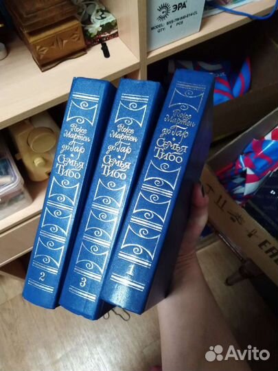 Книги - Роже Дю Гар, Эжен сю Агасфер