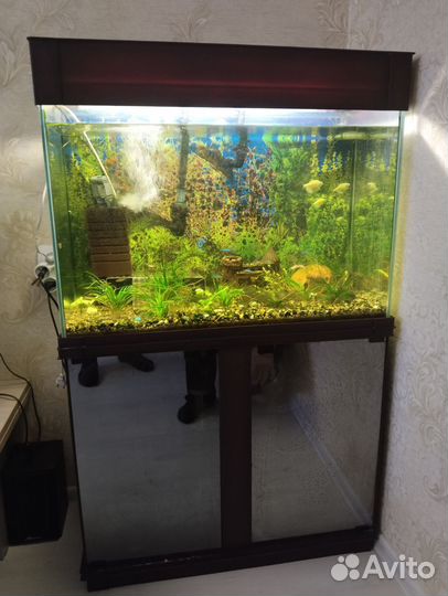 Аквариум с тумбой 156 литров