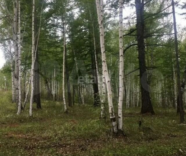 Участок 12,2 сот. (ИЖС)