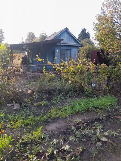 Участок 6 сот. (СНТ, ДНП)