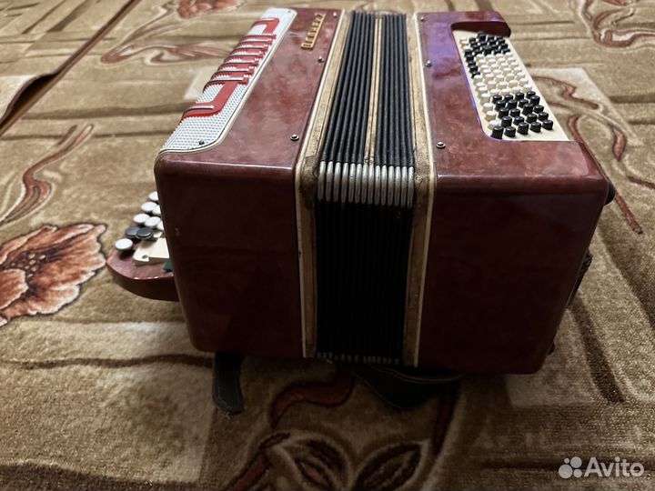 Баян огонек 2