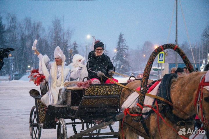 Лошади и пони на праздник, День рождения, свадьбу