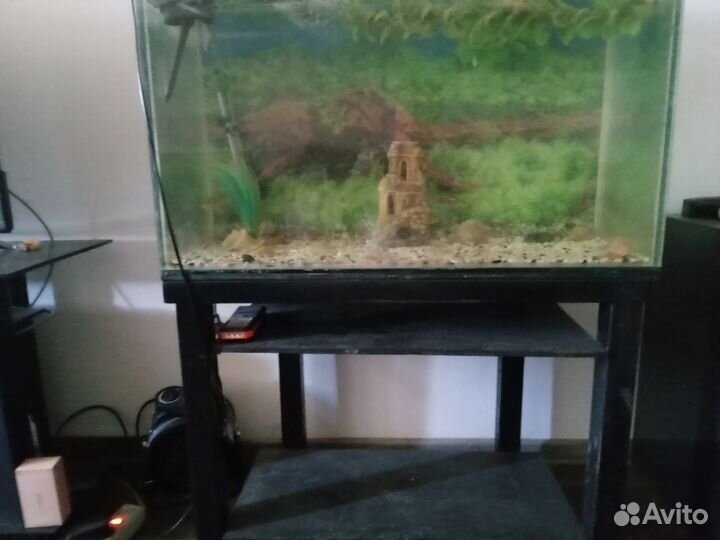 Аквариум