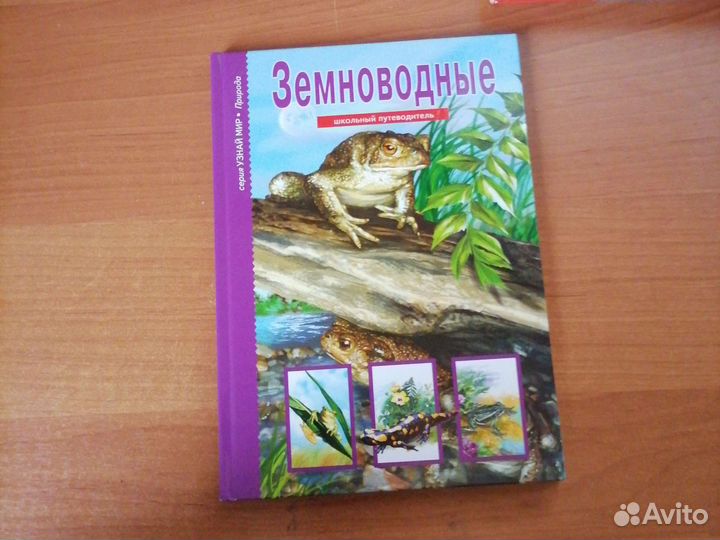 Книга Земноводные