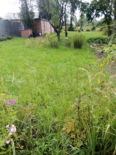 Участок 10 сот. (ИЖС)