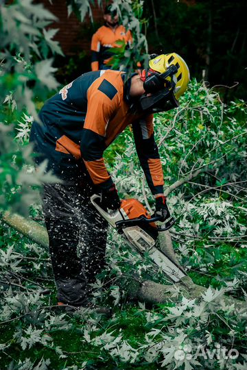 Расчистка участка