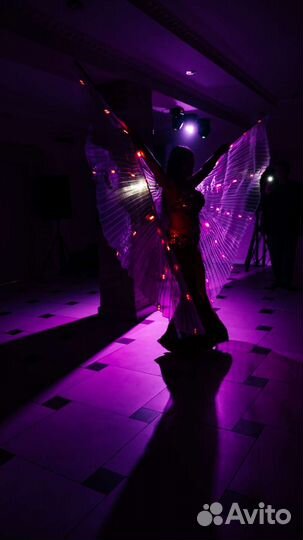 Восточные танцы Танец живота. Шоу-программа