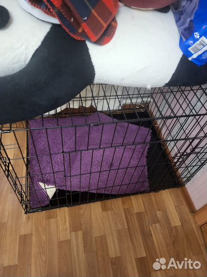 Клетка для собак 6 номер