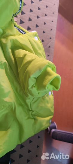 Одежда для собак