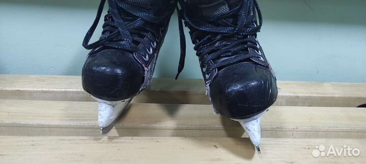 Коньки bauer vapor x50