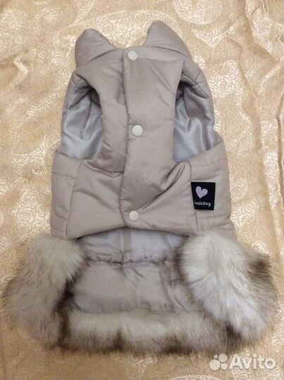 Зимняя одежда для собак XS Limargy, Boris house