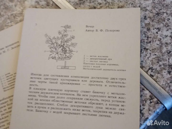 Фотокарточки гербарий,составление композиций