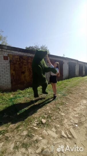 Топиарные фигуры. Медведь