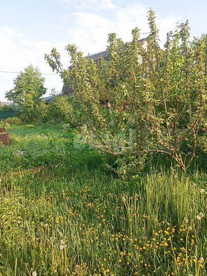 Дача 24 м² на участке 4,3 сот.