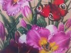 Картины по номерам Бабочка и лилии 40х50 см