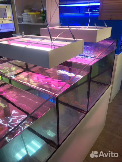 Аквариум каскад 700 литров