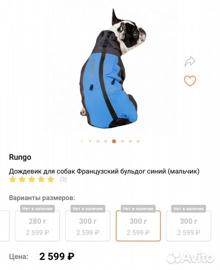 Дождевик для собаки