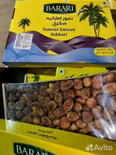 Финики Суккари