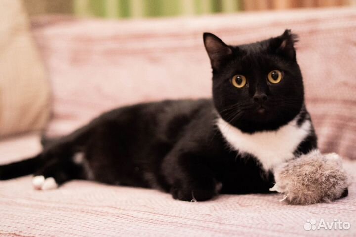 Чарли хочет домой