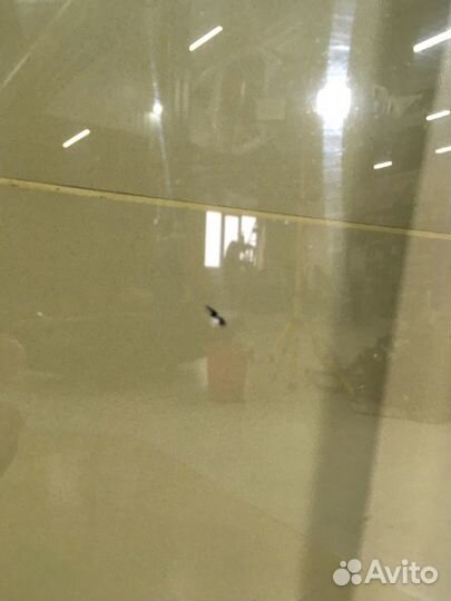 Лобовое стекло Audi Q5 2008г