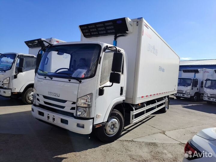 Isuzu Elf, 2024