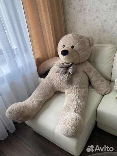 Плюшевый медведь