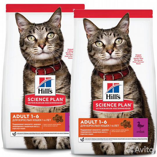 Корм для собак и кошек