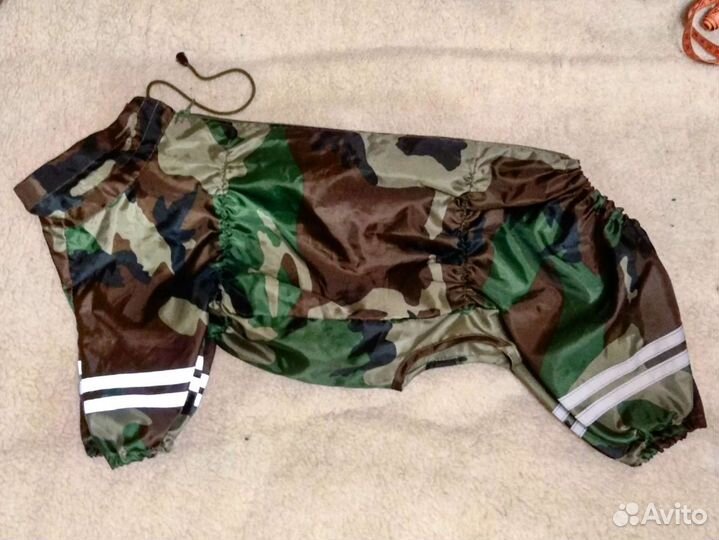 Одежда для собак