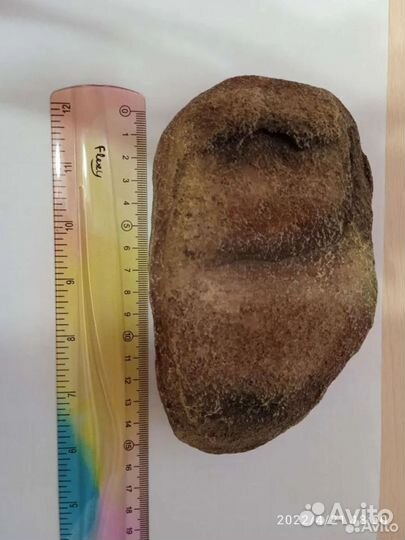 Укрытие для рептилий Lucky Reptile 