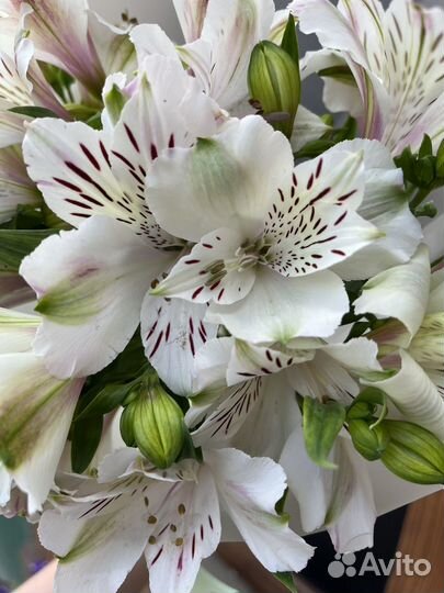 Букет цветов