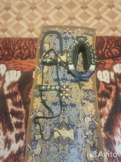 Сбруя для лошади