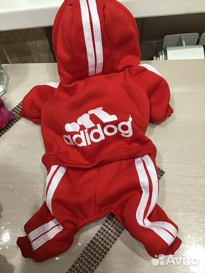 Одежда для маленьких собак